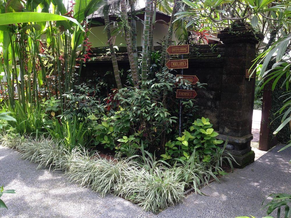 Anginsepoi Hotel Canggu Exterior foto